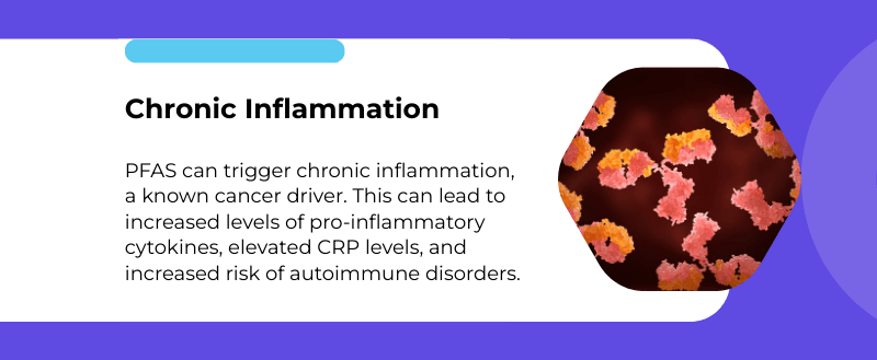 pfas and chronic inflammation