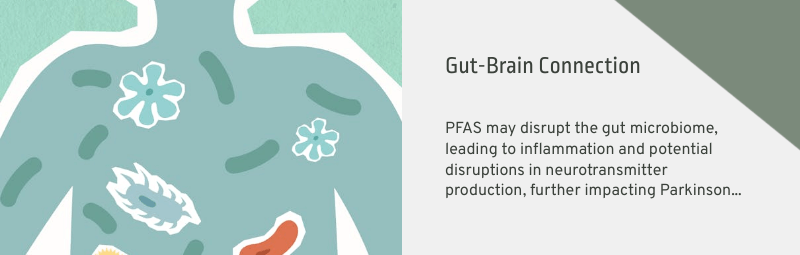 gut brain connection in pd