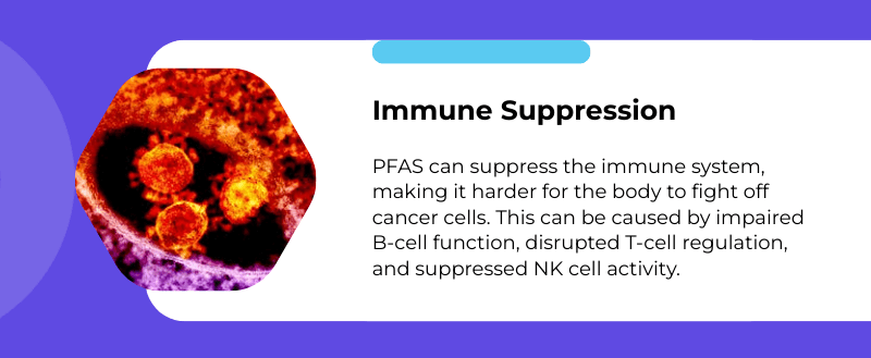 pfas and immune suppression