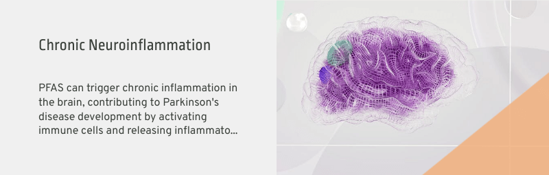 pfas and neuroinflammation in parkinsons