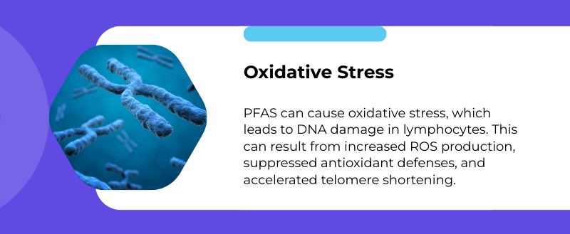 oxidative stressed caused by pfas