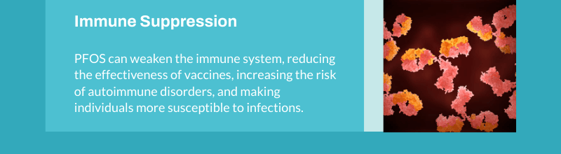 immune responses to pfos