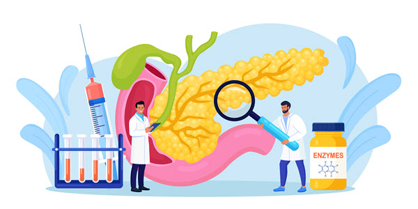 pancreas blood sugar regulation