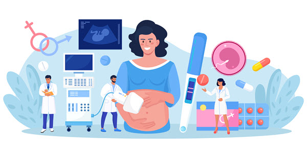 pfas effects female endocrine system